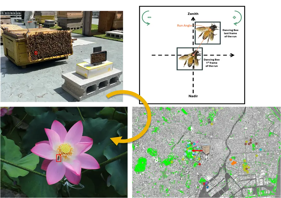 画像が削除されました