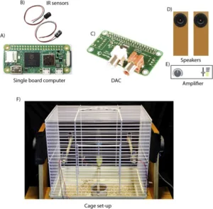 Collage: single-board computer, IR sensors, DAC, two speakers, amplifier, and a cage setup.