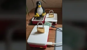 Penguin figurine sits atop a small Raspberry Pi-style computer case, surrounded by padlocks and cables, suggesting hardware security.