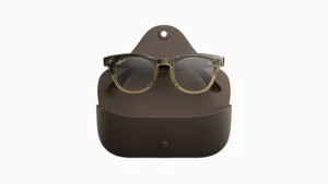 Ray-Ban sunglasses in a brown leather case, front view showing translucent frame and gray lenses.