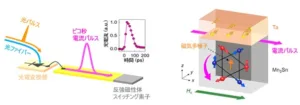 Infographic of spintronics: left shows light entering a waveguide and polarizers to generate spin polarization (with an inset graph); right shows a Mn2Sn-based device with purple spin-current arrows, a Ta layer, and labeled axes (x,y,z) illustrating spin transport.