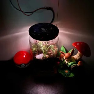 Glass jar terrarium with small plants inside, black lid, and a cable feeding light from above left in a dimly lit setup.