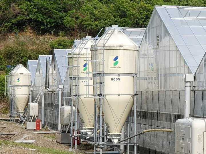 Row of white industrial silos with metal scaffolding beside greenhouses, near trees and piping.