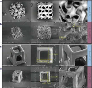 SEM montage of micro-scale porous lattice structures showing interlocking pores and hollow channels; scale bars in micrometers indicate nanoscale features.