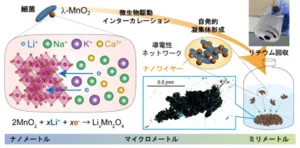 Schematic of Li+-driven formation of lithium manganese oxide from MnO2, showing ion/electron transfer and a nanorod network in a battery-like process.