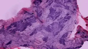 Abstract purple and pink watercolor texture with layered, marbled patterns and subtle white highlights.