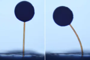 Two side-by-side close-ups of a blue circular bead on a thin gold pin against a pale blue background, showing vertical on the left and tilted on the right.