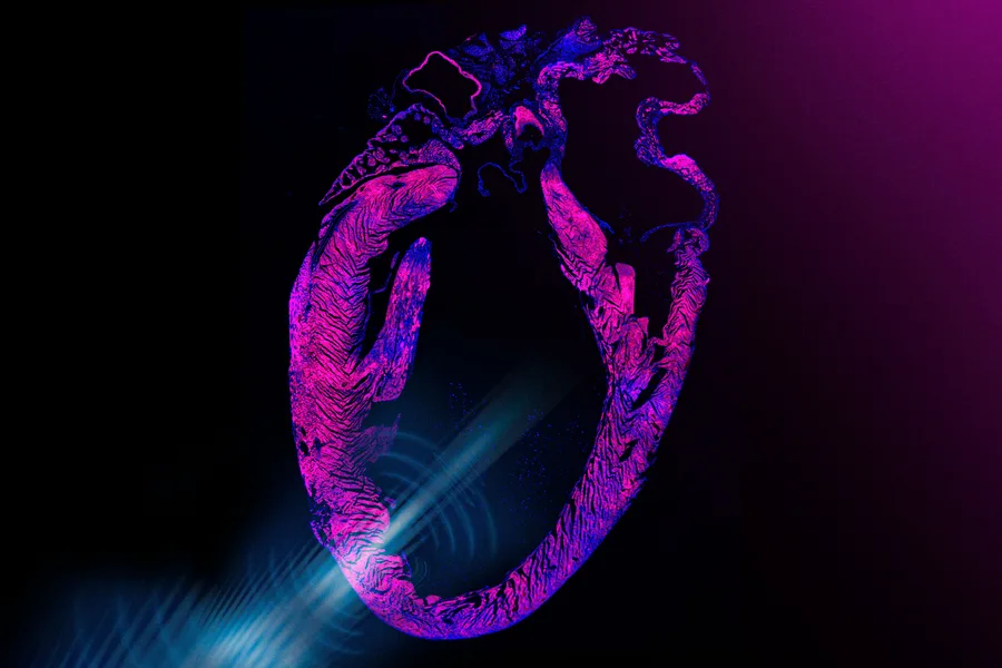 Abstract neon-pink heart-shaped ring with blue light streaks against a dark background (digital art).