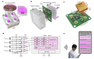 Panel a: A white device labeled BWP with four pink wells; droplets are being dropped into the wells beneath a 3D organoids/EHTs illustration.