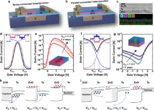Multi-panel figure: (a,b) cross-sectional schematic of series- and parallel-connected ZnO–Te heterojunctions with GOX and gate; (c) material map showing Al2O3, Te, ZnO layers and a color-coded element map; (d–g) drain current vs gate voltage transfer curves and a 3D current plot illustrating p-channel and n-channel behavior; (h,i) depletion/transfer diagrams across ZnO–Te stack showing carrier movement under different gate conditions.