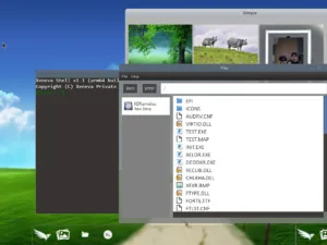 Screenshot of a Windows-like desktop with overlapping windows: a dark terminal on the left and a File Manager listing programs (TEST.EXE, INIT.EXE, XELDR.EXE, etc.) over a green field wallpaper.
